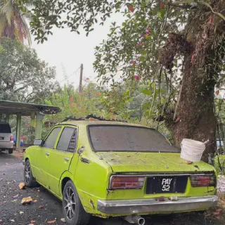 /img/46358-toyota-ke30-diecast-collecting-tips.webp
