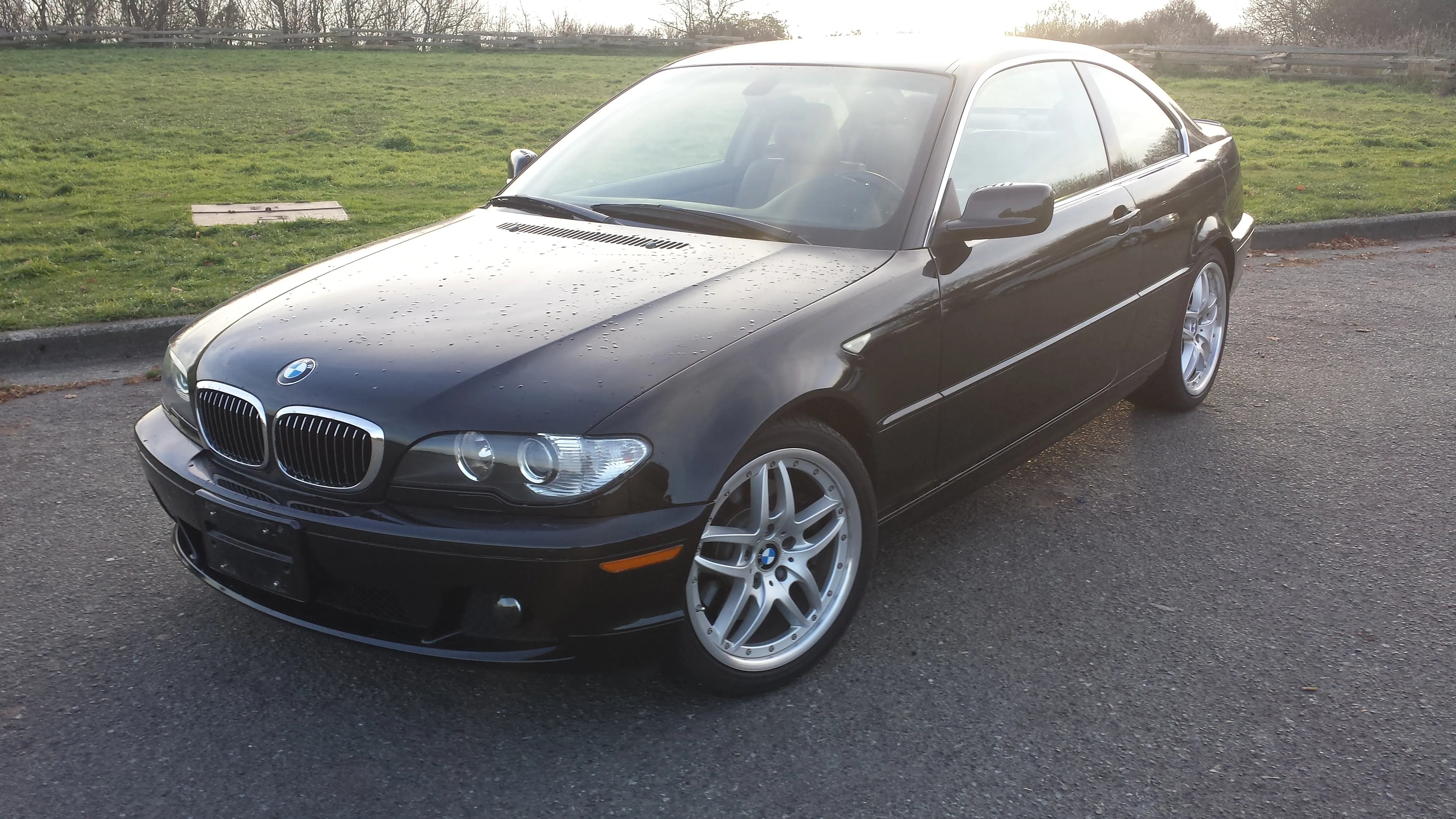 /img/46405-bmw-330ci-diecast-cleaning.webp